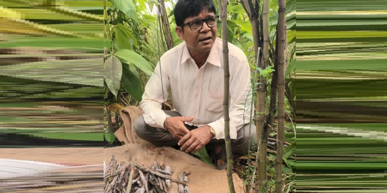 स्वदेशमै पौरख गर्ने हुटहुटीले लाहाखेती