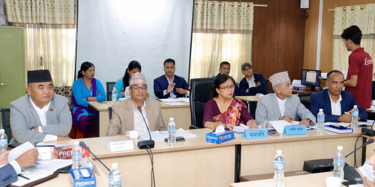 जेन-जीको आन्दोलनले राज्य व्यवस्था समितिको बैठक बीचैमा स्थगित, बाहिरिए गृहमन्त्री लेखक