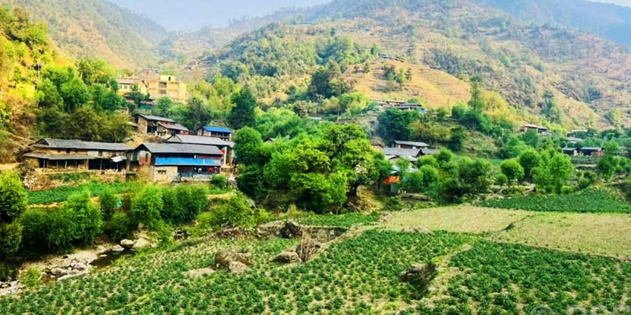 बागलुङमा १ अर्ब ९४ करोड ६० लाखको आलु उत्पादन