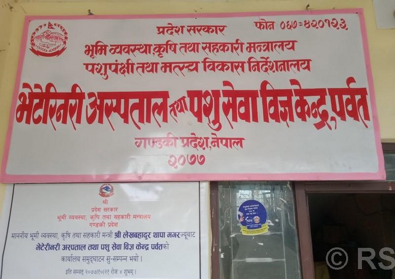 पशुपालक किसानलाई आत्मनिर्भर बनाउन ८० लाख अनुदान