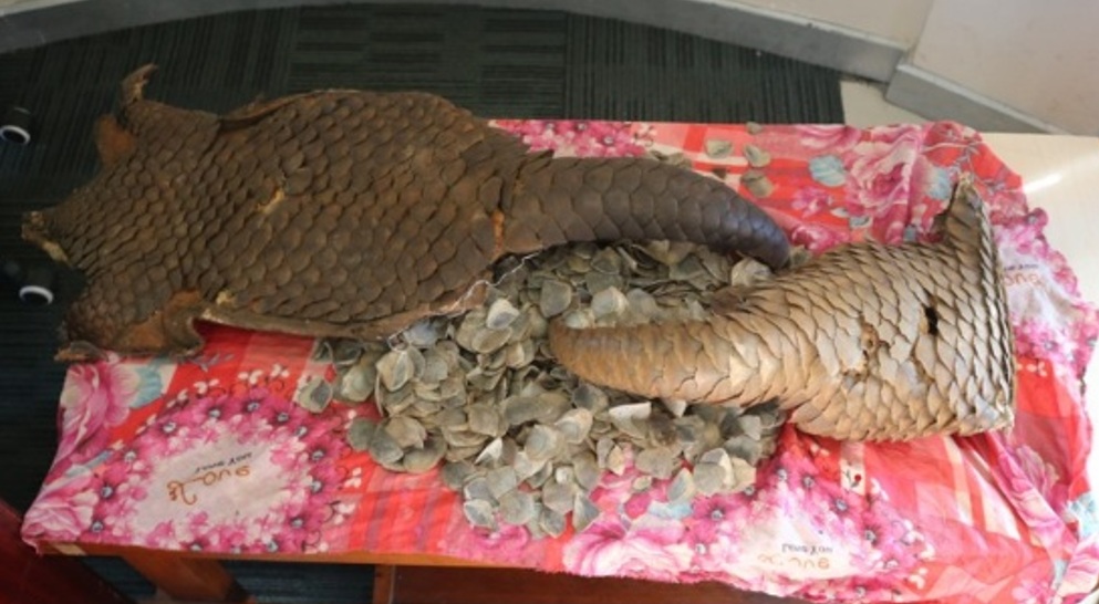 सालकको खपटा र छालासहित २ जना पक्राउ