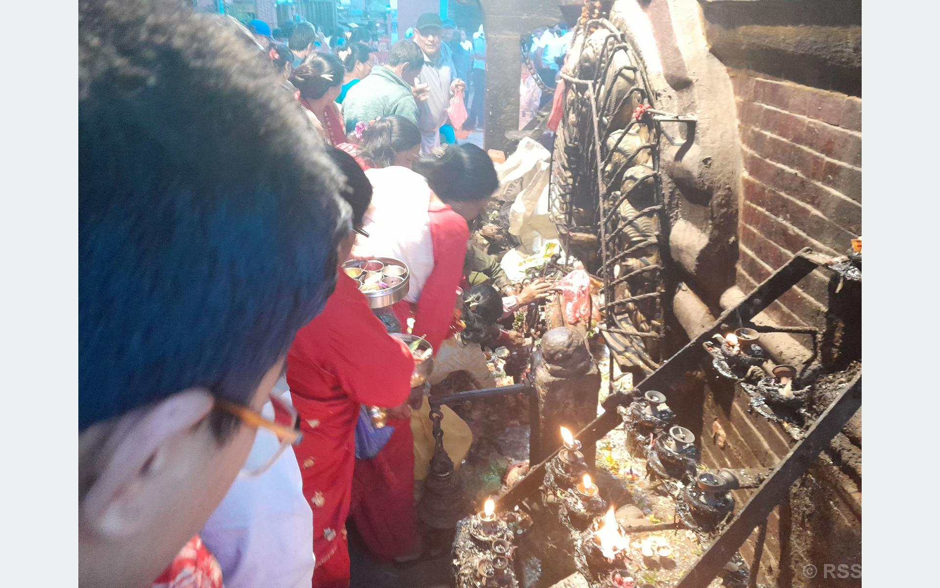 talejo