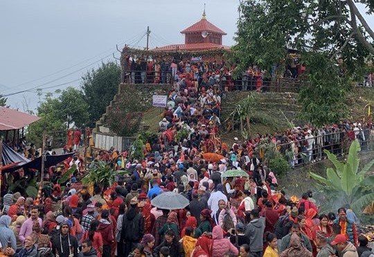 थानीमाई मन्दिरमा एकैदिन ८६ फूलका डोली भित्रिए