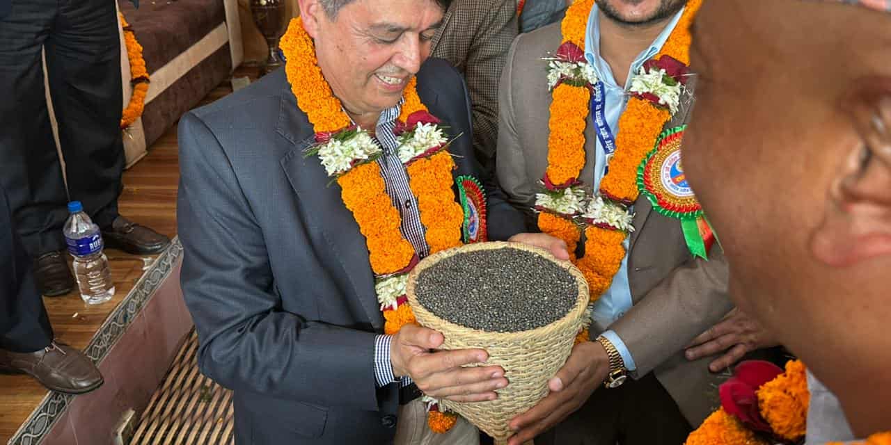 अध्यक्ष ढकाललाई कोशेली, धादिङको एक डाली मास !