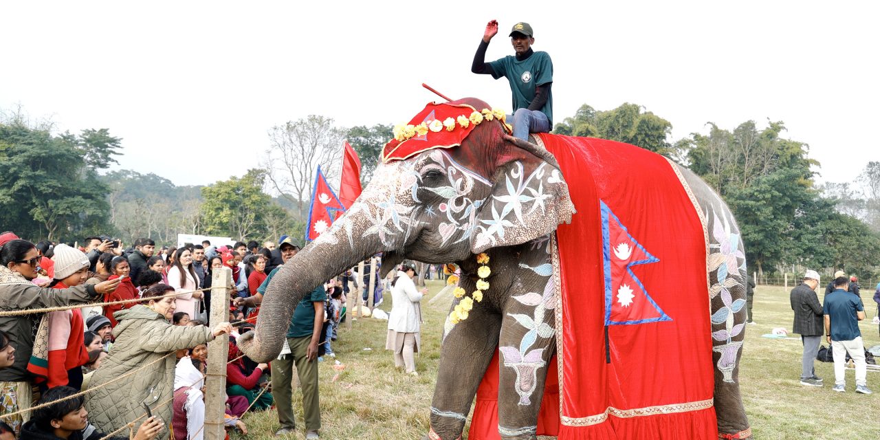 सौराहामा हात्ती महोत्सव : आज हात्ती पूजा र वनभोज