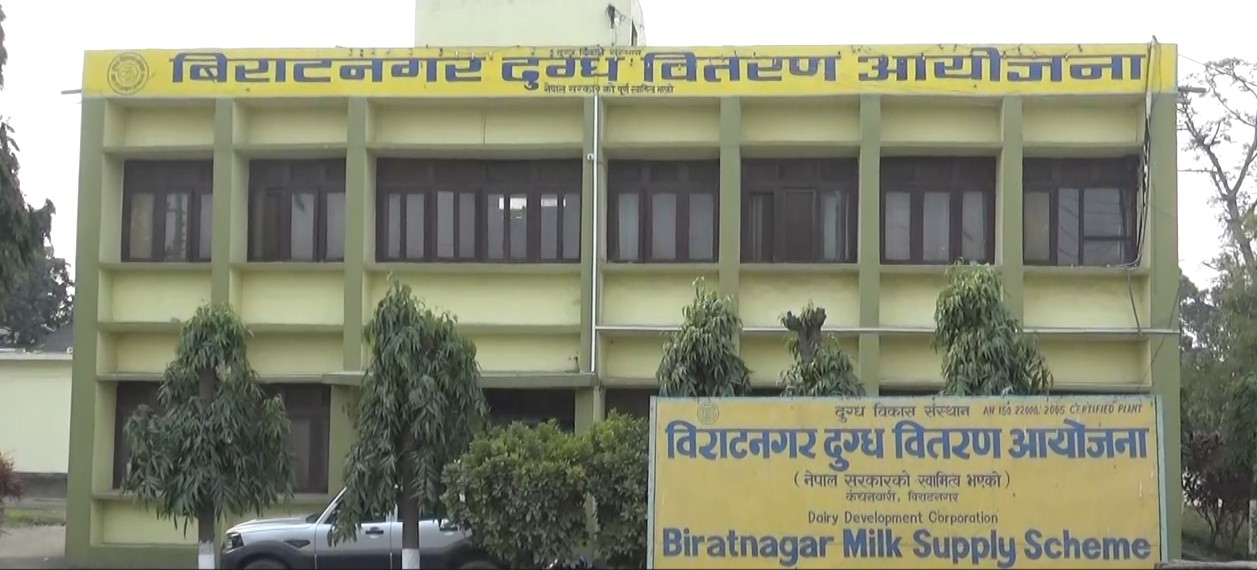 दुध संकलन बढेसँगै विराटनगर दुग्ध आयोजनाले पाउडर दुध उत्पादन पुनः सुरु