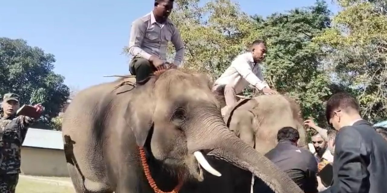 कतारलाई उपहार दिन लागिएका हात्ती खगेन्द्रप्रसाद र रूद्रकलीको विदाई