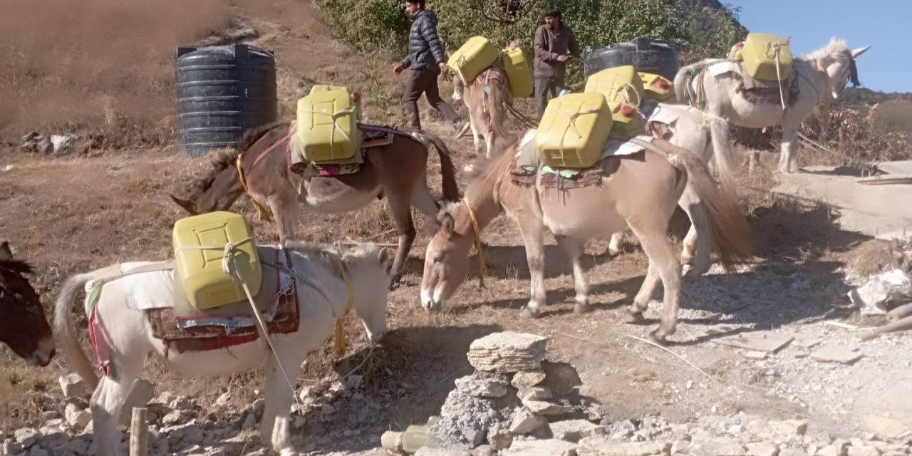 खच्चडलाई पानी बोकाएर खानेपानी ट्याङ्की निर्माण गरिँदै