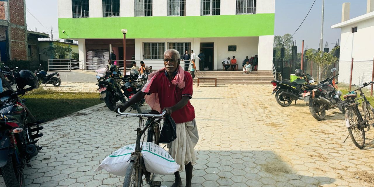 औरहीका किसानलाई अनुदानमा गहुँको बीउ