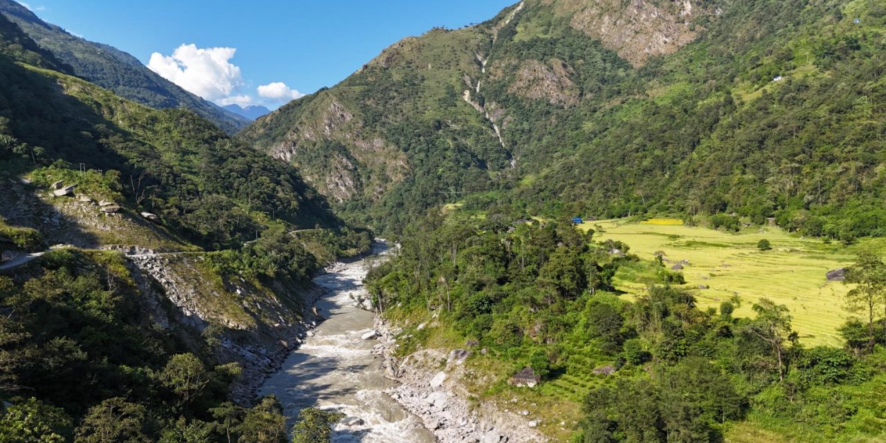 माथिल्लो अरुण आयोजना निर्माणका लागि दुई हजार बढी रुख काटियो
