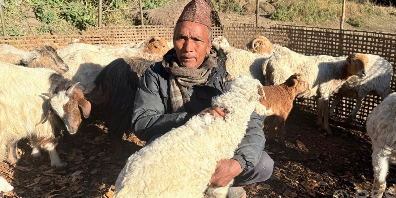 भेडागोठमा पाँच दशक बिताएका नरेन्द्रलाई पढ्न नपाएकामा पछुतो