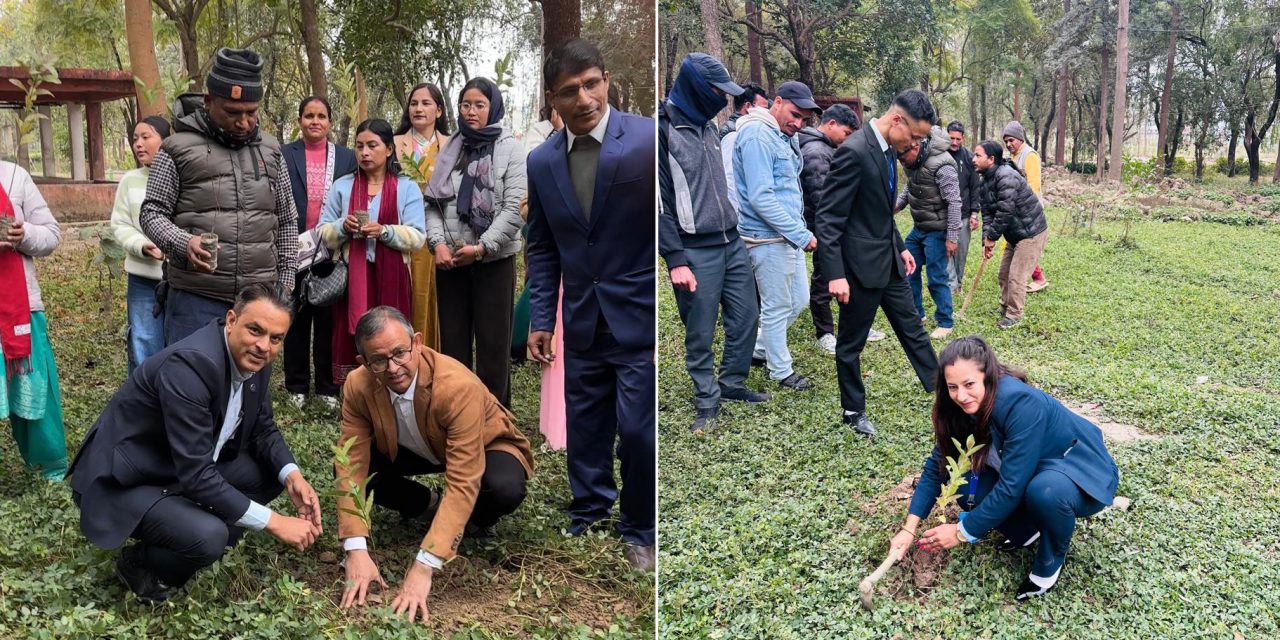 सन नेपाल लाइफ इन्स्योरेन्सद्वारा विरेन्द्र नगरपालिकामा वृक्षारोपण
