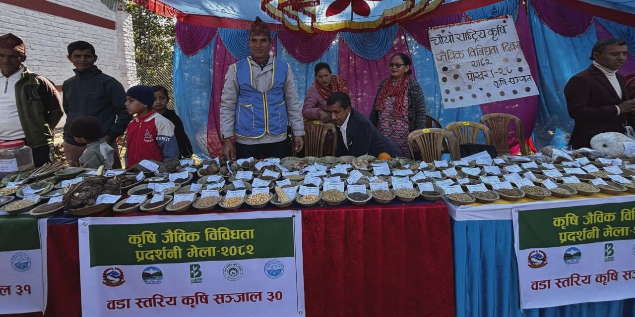 एकै थलोमा तीन सय ५० रैथाने कृषि प्रजातिको प्रदर्शन