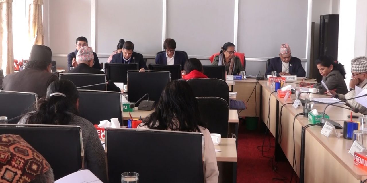 राष्ट्रियसभाको विधायन समितिद्वारा चलचित्र विधेयक पारित