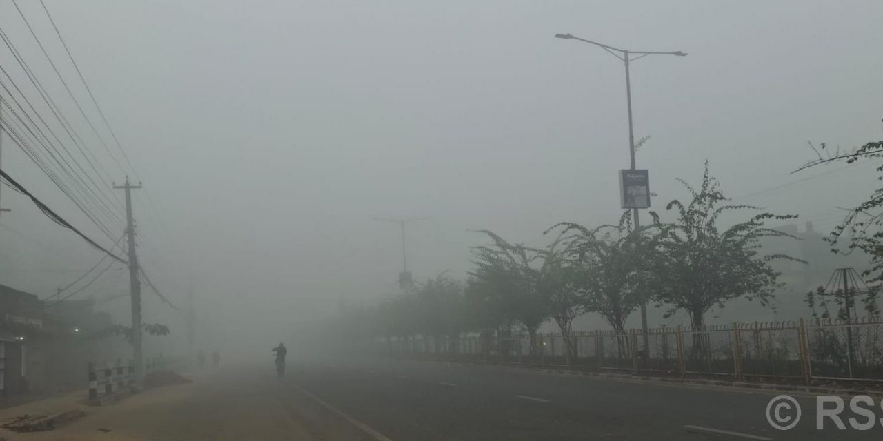 बाक्लो हुस्सु र कुहिरोले पश्चिम तराईको जनजीवन प्रभावित