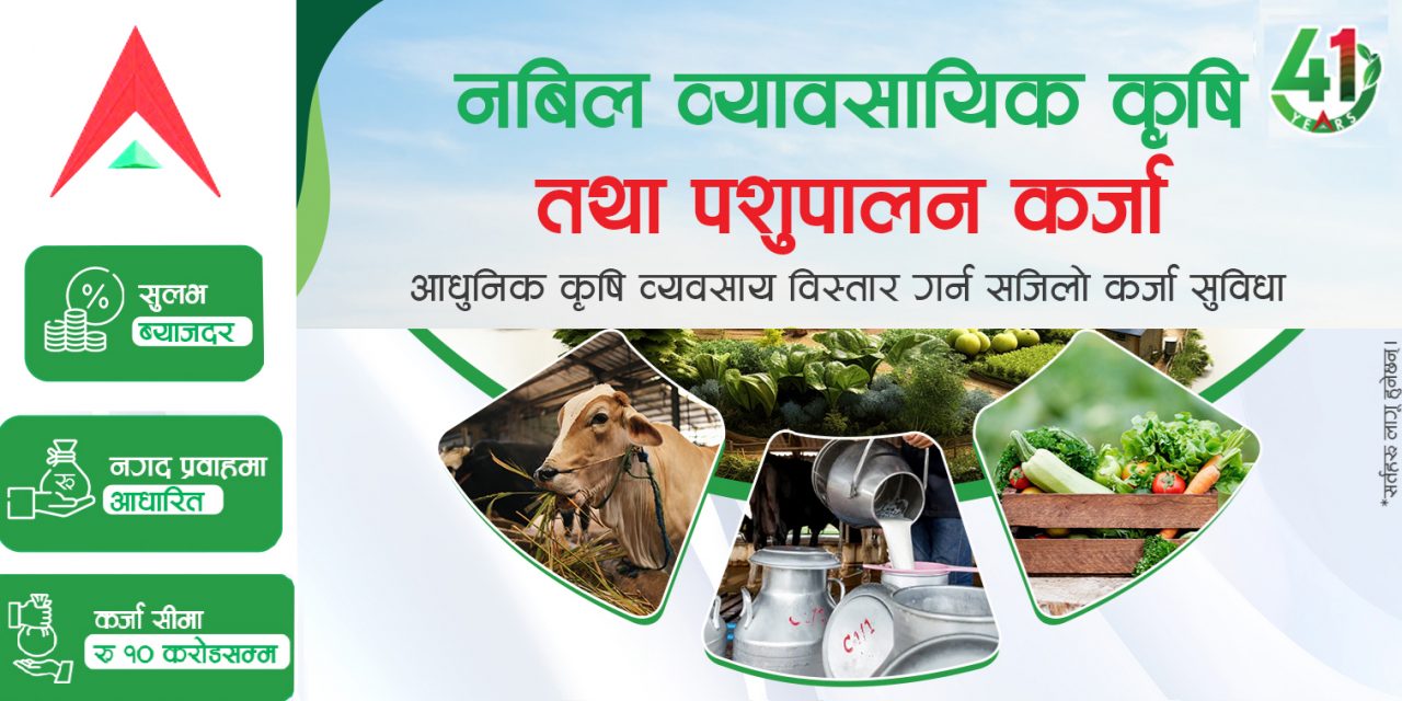 ‘नबिल व्यवसायिक कृषि तथा पशुपालन कर्जा’ : कृषिको व्यवसायीकरणमा रुपान्तरणकारी योजना