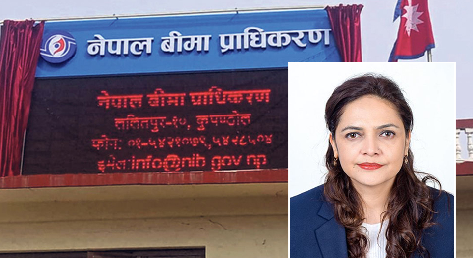 नेपाल बीमा प्राधिकरणको प्रवक्तामा निर्देशक ढुङ्गेल