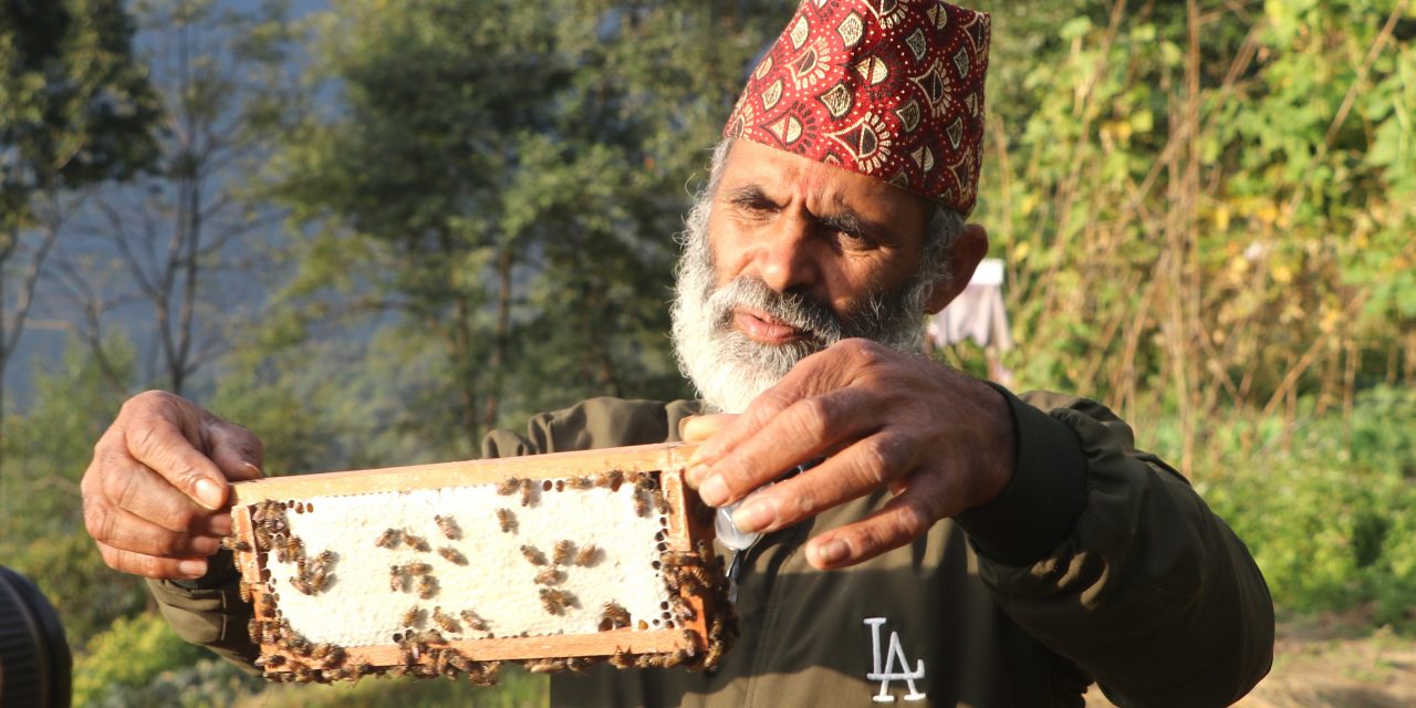 मौरीघार र महले आत्मनिर्भर पृतिराज, गाउँमै सिर्जना भयो रोजगार
