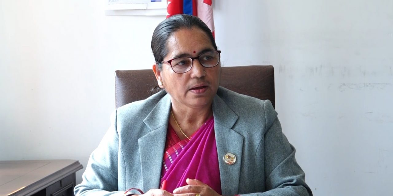 राष्ट्रियसभामा हुने प्रतिनिधित्व निकै उत्तम : उपाध्यक्ष घिमिरे