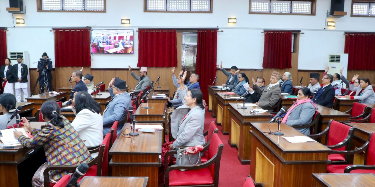 राष्ट्रिय सभाद्वारा चलचित्र विधेयक-२०८१ पारित