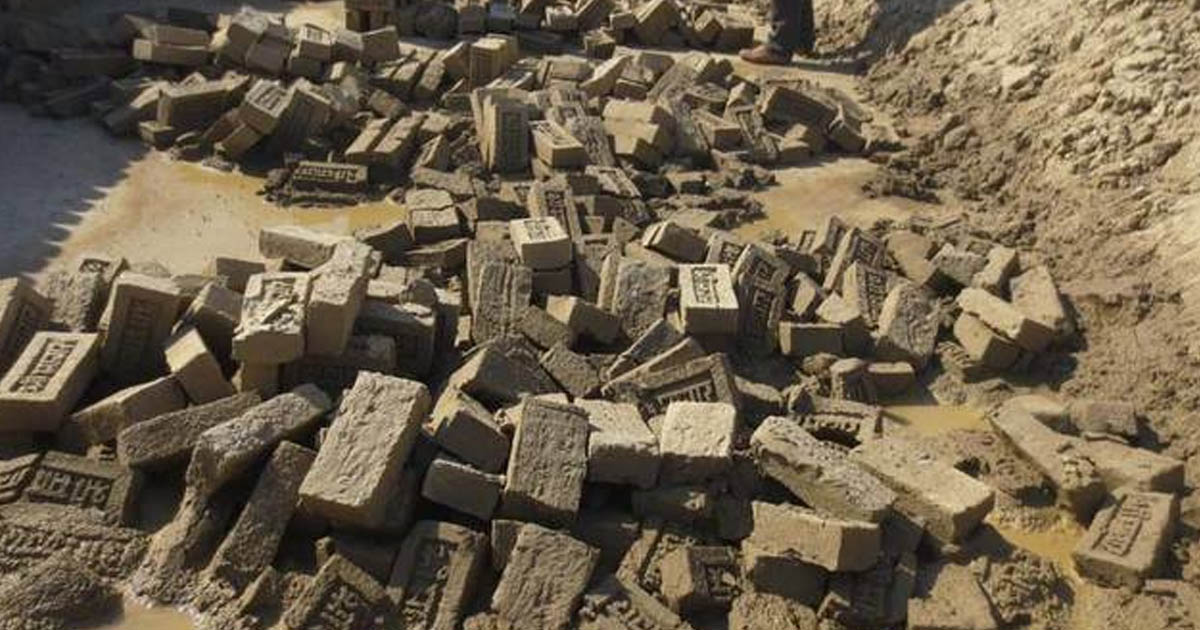 बेमौसमी वर्षाका कारण नौ करोड बराबरको काँचो इँटामा क्षति