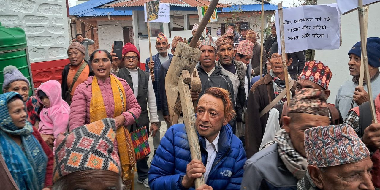 बाँदरपीडित किसानद्वारा कृषि औजार हलो, जुवा, दाँते र कोदालोसहित  प्रदर्शन