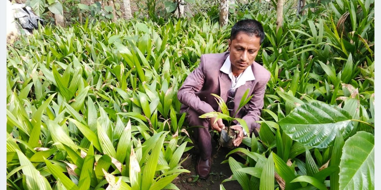 सफलताका कथा : जीवनको तस्बिर बदलेका उद्यमी भीमबहादुर