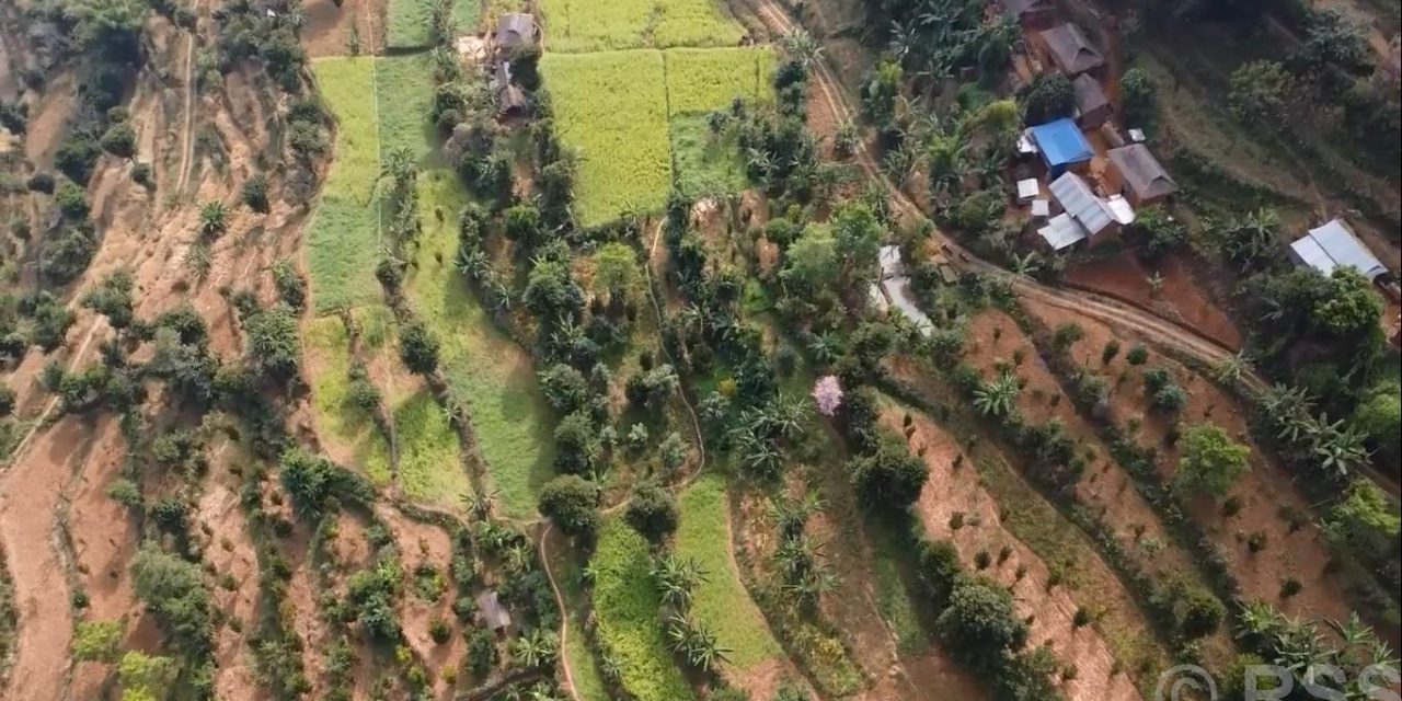 व्यावसायिक फलफूलखेतीतर्फ भुल्केका किसानको आकर्षण