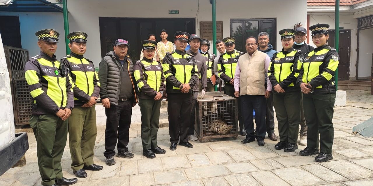 ललितपुरबाट चितुवाको उद्धार