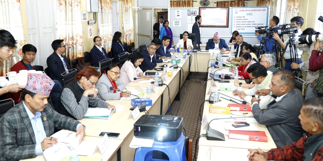 सिंहदरवारमा निर्माणाधीन नयाँ संसद भवनको निर्माण कार्य अन्तिम चरणमा