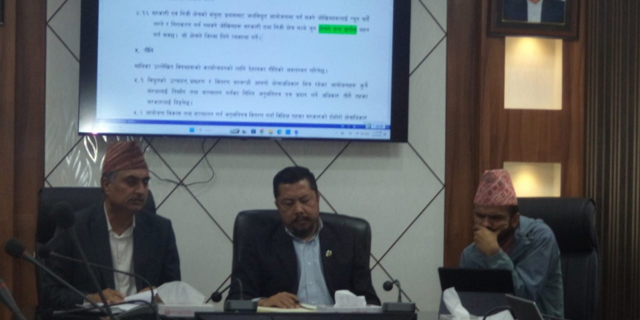 विद्युत् नीतिमाथि ऊर्जा मन्त्री श्रेष्ठद्वारा आन्तरिक छलफल सुरू