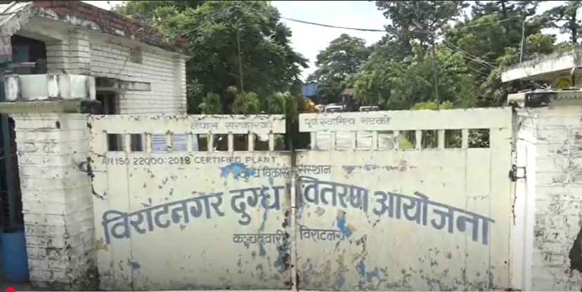 पूर्वका दुग्ध कृषकलाई करिब ११ करोड रुपैयाँभन्दा बढी भुक्तानी गर्न बाँकी