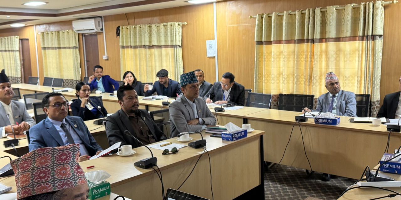 बुढीगण्डकी जलविद्युत् आयोजना सम्बन्धबारे छलफल
