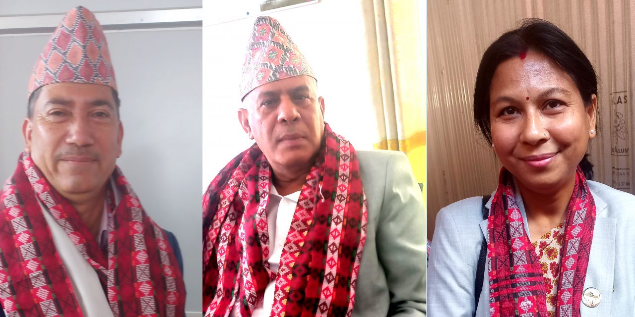 राष्ट्रिय सभाका चार विषयगत समितिमा सभापति चयन