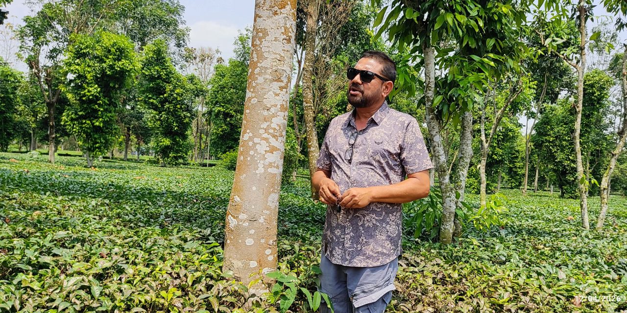 रबिको ‘मिश्रित खेती’मा २७ प्रजातिका नगदेबाली