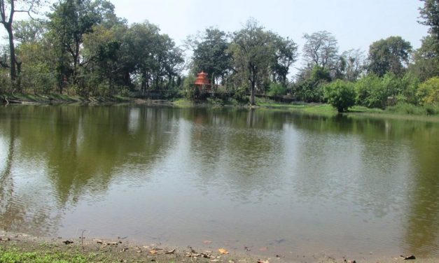 शुक्लाफाँटामा पुरिँदै प्राकृतिक ताल