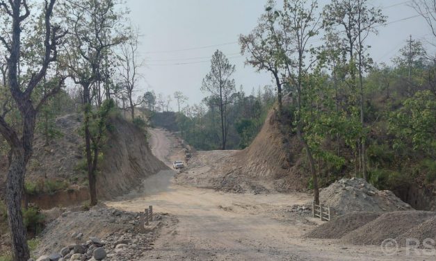 बड्डीचौर खम्बागाडे सडक निर्माण नहुँदा नागरिकलाई सास्ती