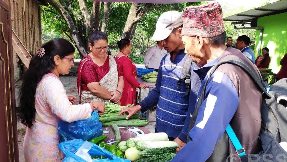 पाँचखालमा साप्ताहिक कृषि हाटबजार