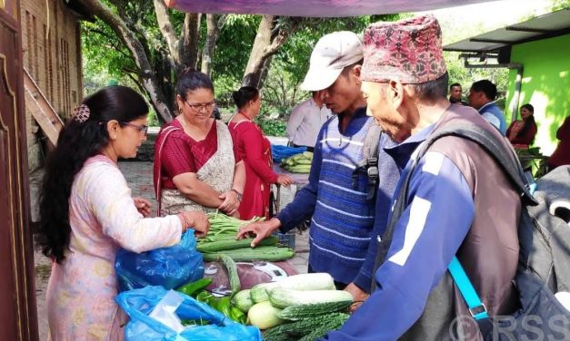 पाँचखालमा साप्ताहिक कृषि हाटबजार