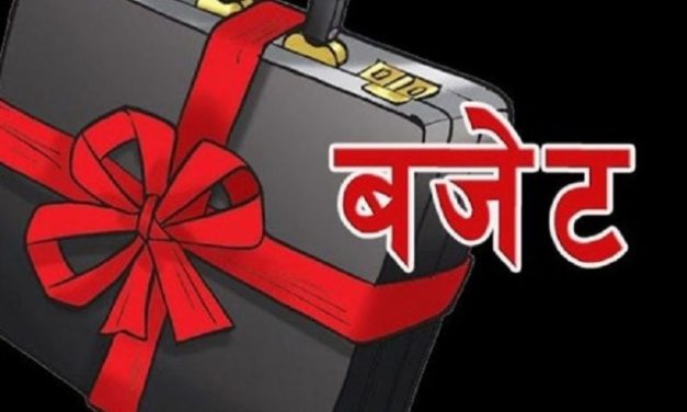 बजेट भाषणमा प्रयोग हुने शब्द र त्यसको अर्थ (५० शब्दहरू)