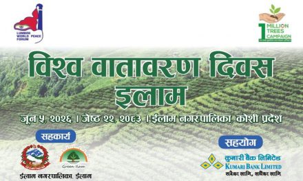 विश्व वातावरण दिवसमा कुमारी बैंकद्वारा इलाममा ३०० बिरुवा रोपण