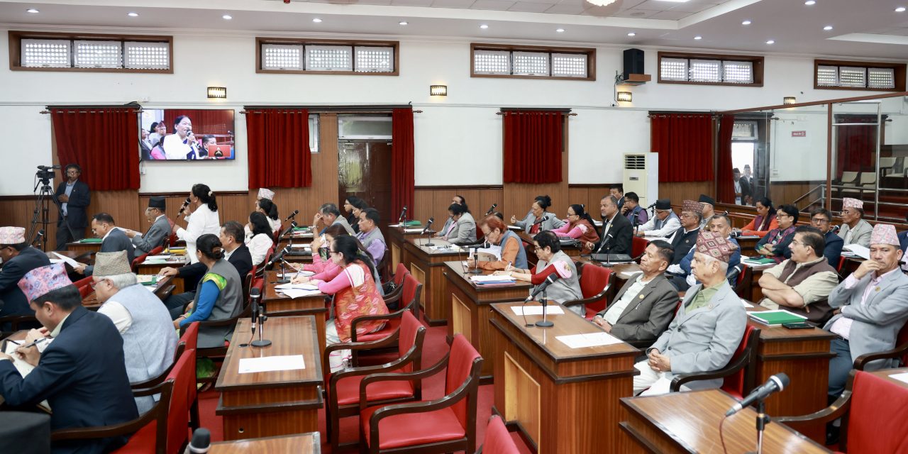 राष्ट्रियसभामा बजेटमाथि छलफल 
