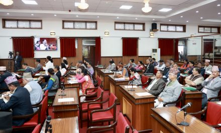 राष्ट्रियसभामा बजेटमाथि छलफल 