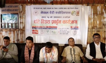 राष्ट्रिय धान दिवसमा ७५ लाख लिटर दही खपत हुने अनुमान, एक अर्ब बराबरको कारोबार हुने