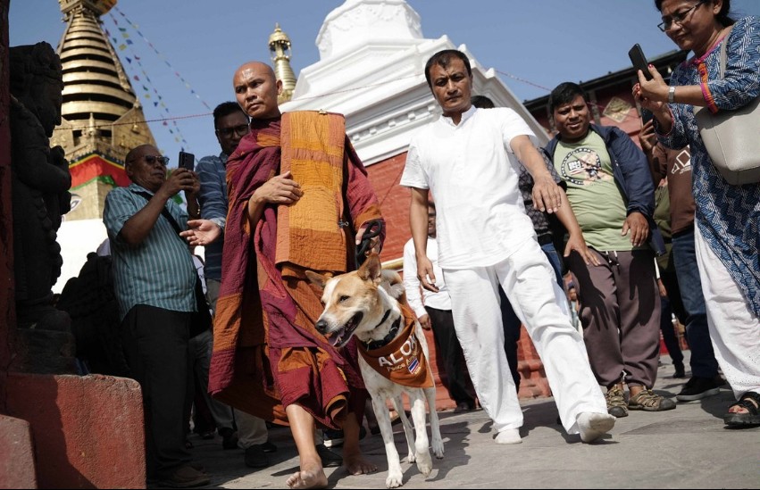 शान्ति दूत ‘अलोका’ सहित भिक्षुहरूको टोली काठमाडौं आइपुगे