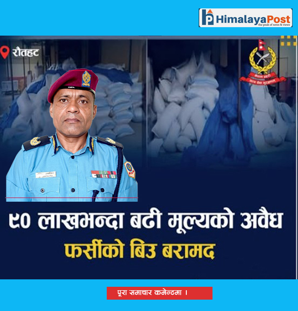मधेश प्रदेशमा डीआईजी थपलिया तस्करी बिरूद्द आक्रामक : ९० लाख बढीको अबैध फर्सीको बिउ बरामद !