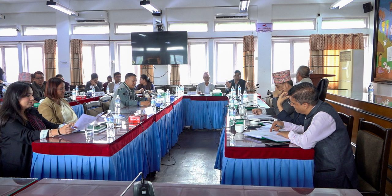 लेखा समितिद्वारा बेरुजु अध्ययन गर्न पाँच उपसमिति गठन