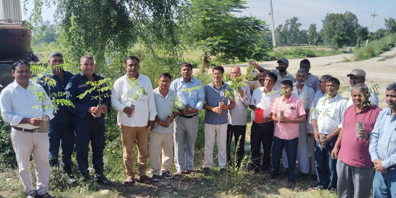 बाराको फेटा गाउँपालिकामा अध्यक्ष रुस्तम अन्सारीद्वारा वृक्षारोपण, वातावरण संरक्षणमा जोड
