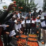 उचित मूल्यको माग गर्दै किसानले माइतीघरमा गोलभेँडा फ्याँके