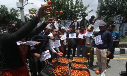 उचित मूल्यको माग गर्दै किसानले माइतीघरमा गोलभेँडा फ्याँके